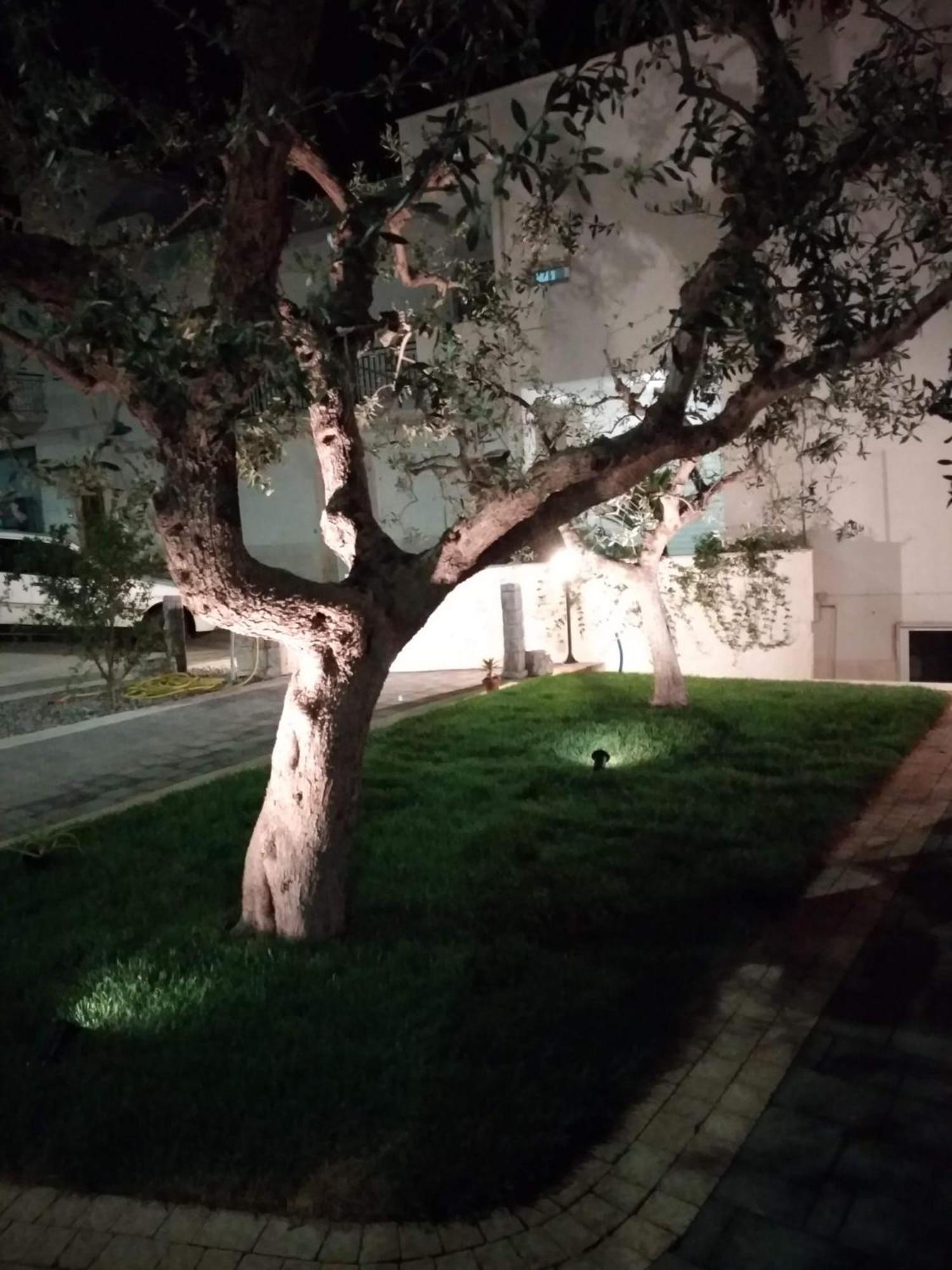 I Cinque Ulivi Apartment Alberobello Ngoại thất bức ảnh